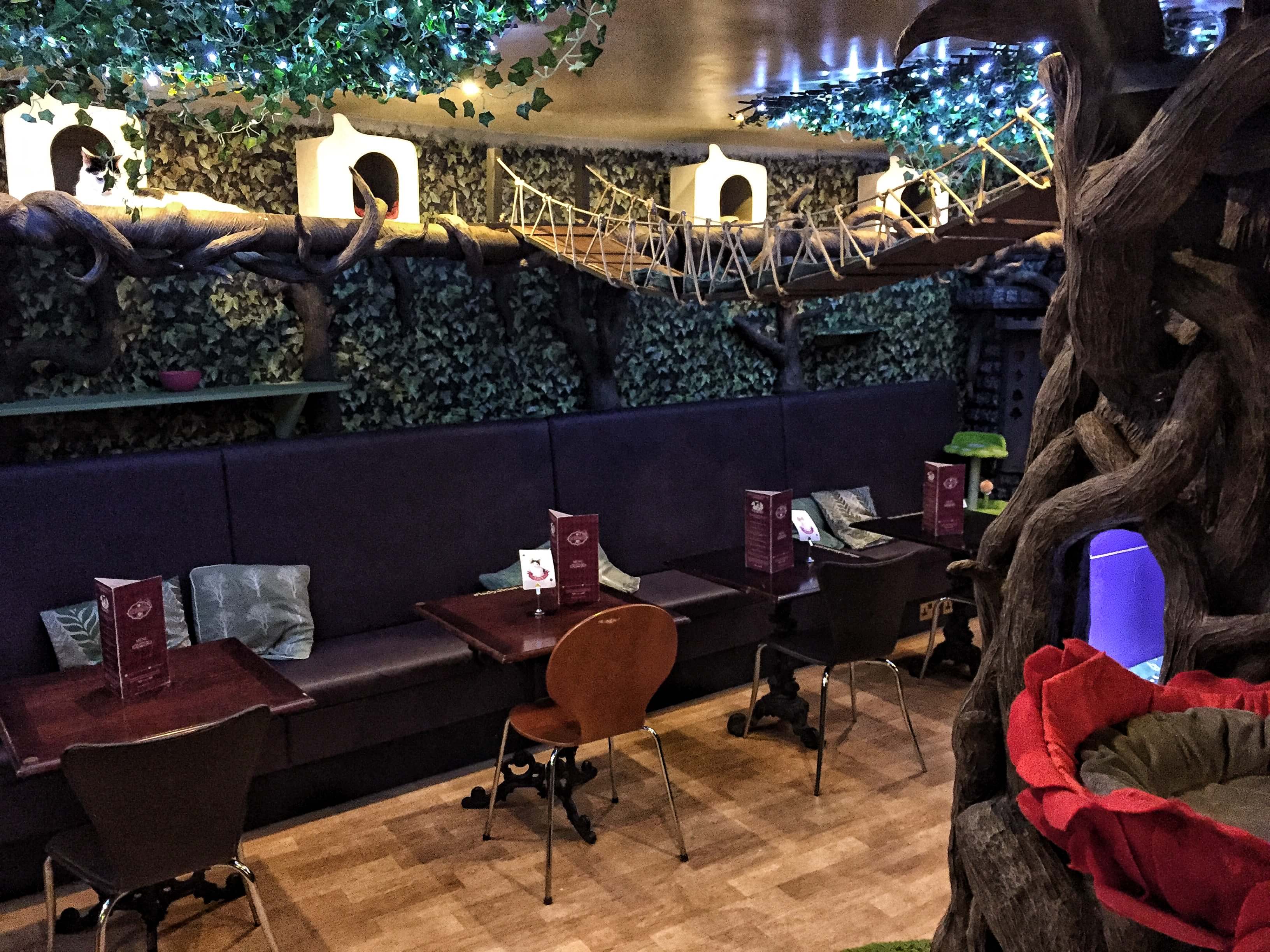 London's prettiest cafes : Lady Dinah's Cat Emporium, Shoreditch, London