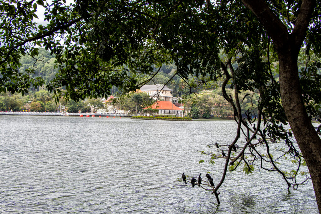 Kandy Lake, Kandy, Sri Lanka